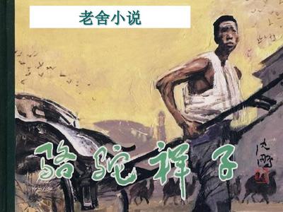 2023猫咪永久域名收藏地址